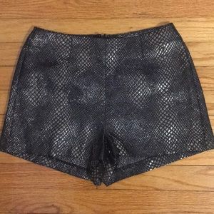Black and Gold Metallic Snake Print Shorts